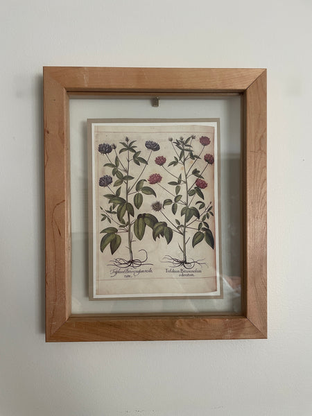 Botanical Print Art | 2