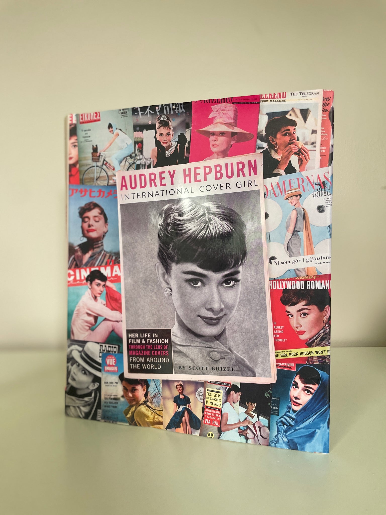 Audrey Hepburn Book