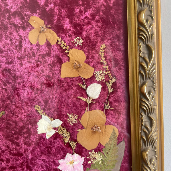 Pressed Flowers by Carmelia DeFiccio-Ziegler