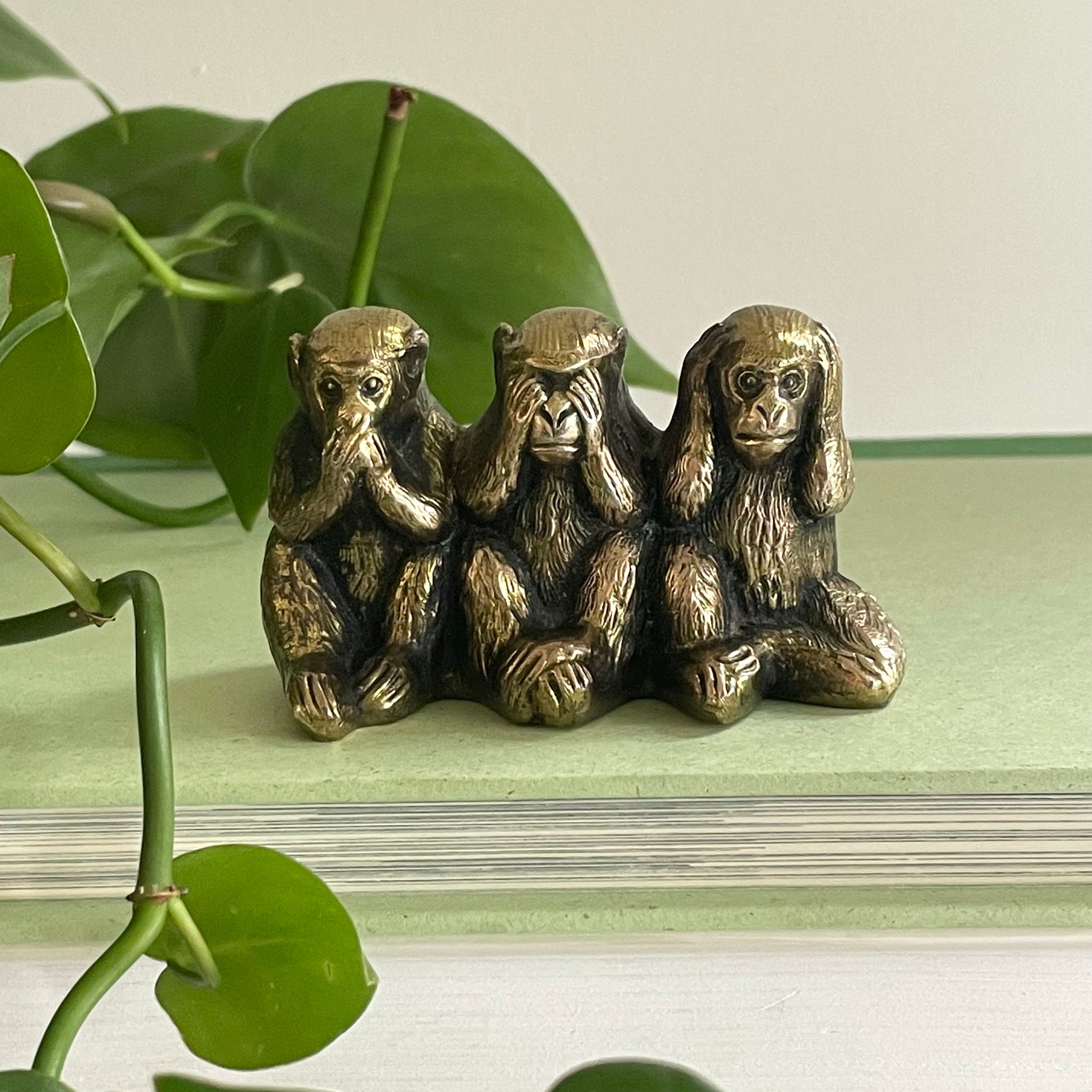 Monkeys | Brass