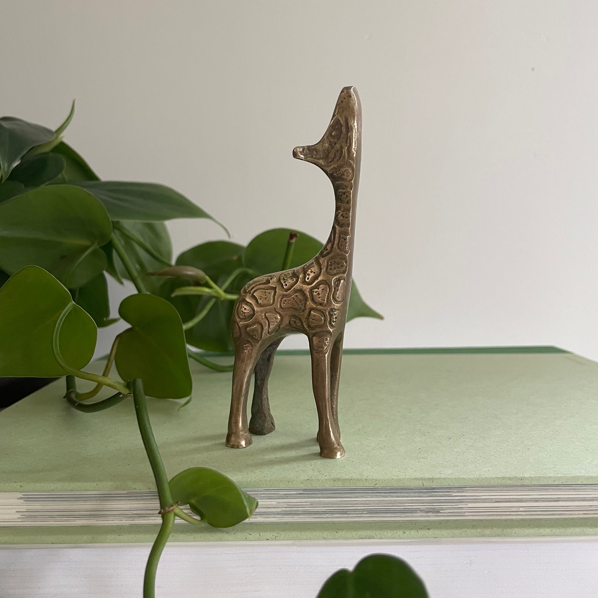 Giraffe | Brass