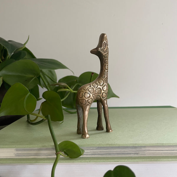 Giraffe | Brass