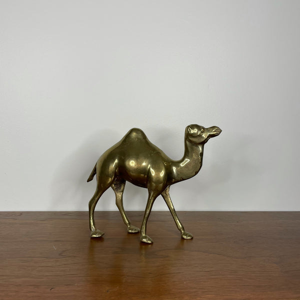 Camel