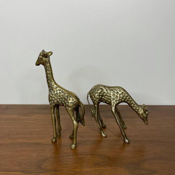 Giraffes | Brass