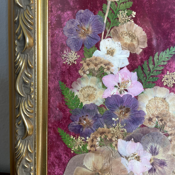 Pressed Flowers by Carmelia DeFiccio-Ziegler