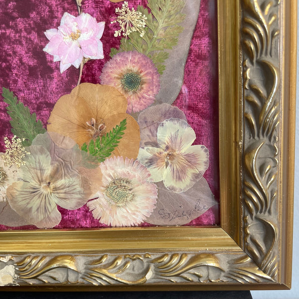 Pressed Flowers by Carmelia DeFiccio-Ziegler