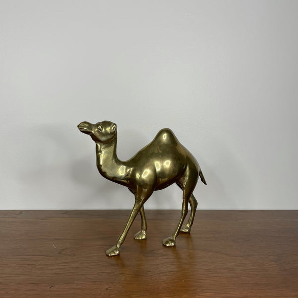 Camel