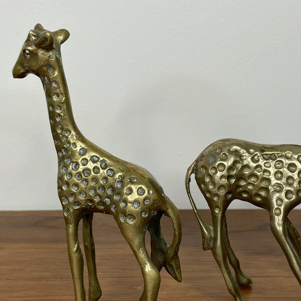 Giraffes | Brass