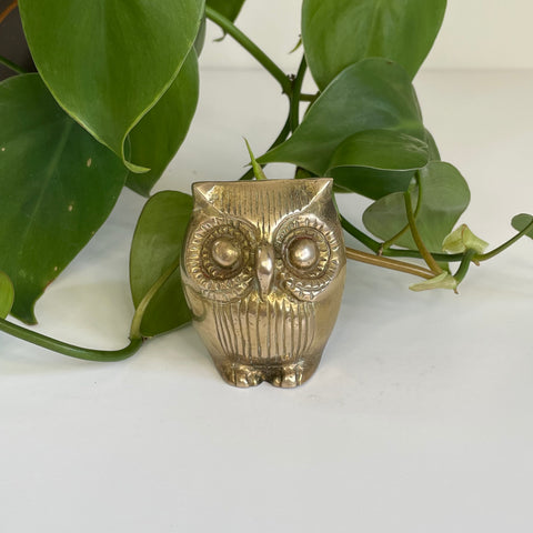 Owl | Brass