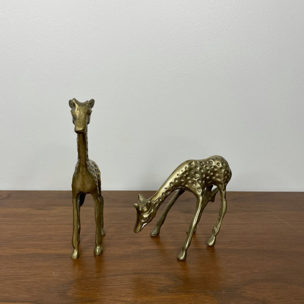 Giraffes | Brass