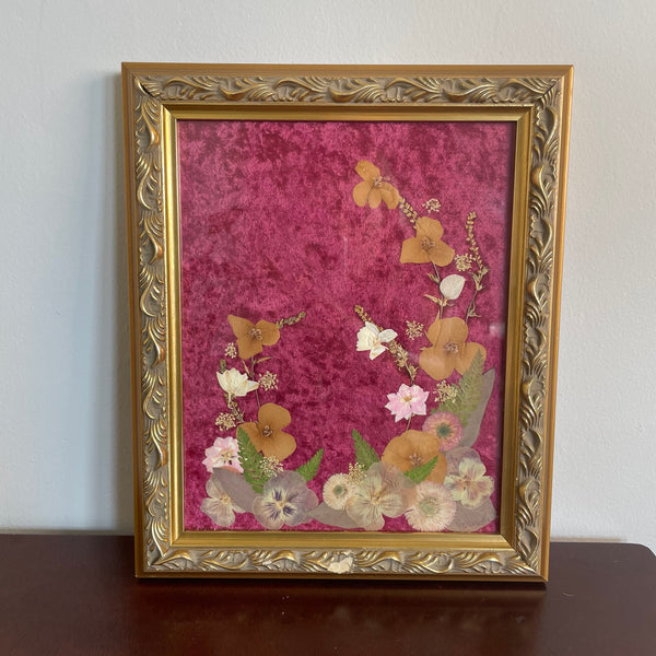 Pressed Flowers by Carmelia DeFiccio-Ziegler