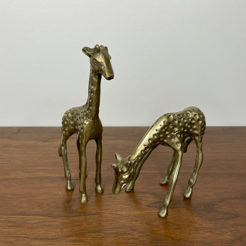 Giraffes | Brass